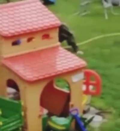 HMB while I loop de loop