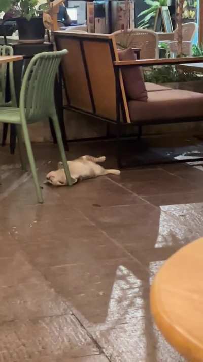 Played with the worm for an hour