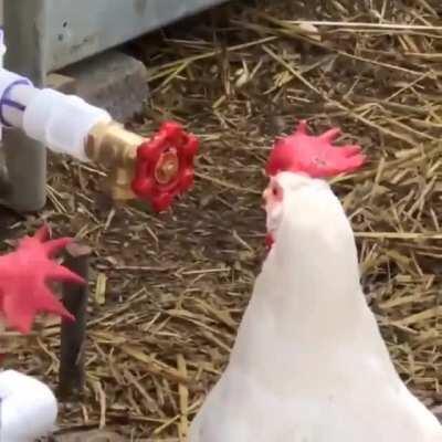 Ждут Халфлайф 3