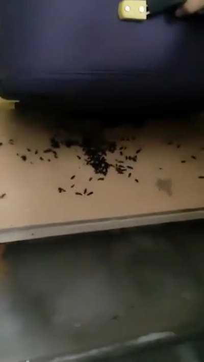 Living conditions in IIT Delhi