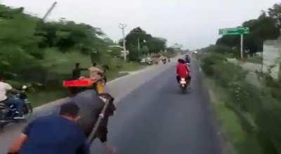 bull looks like he's bored of this bull shit