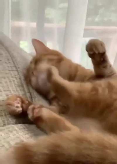 Stop hitting yourself!