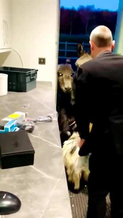 Thought it might fit here