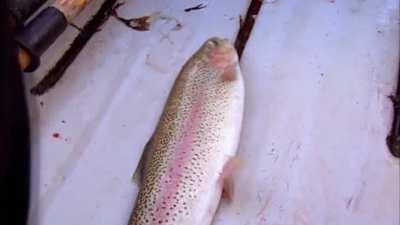 Still the funniest scene in the entire show