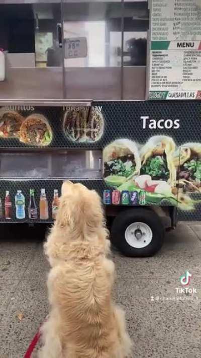 It's Taco Tuesday 🌮