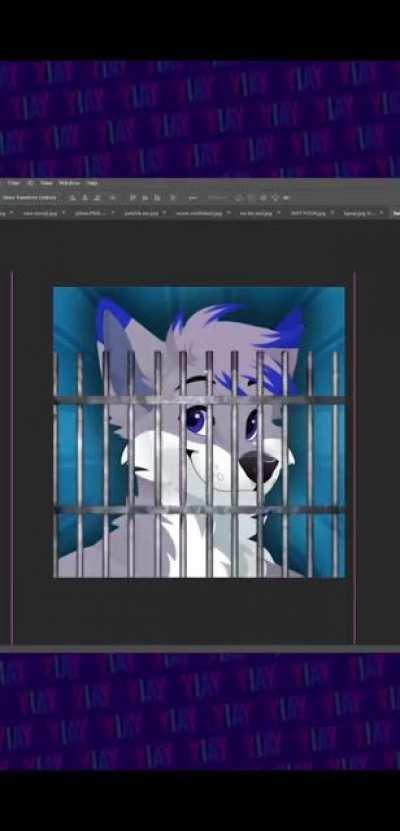 Now go to jail b*tch