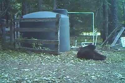 DBS slapping your nuts with a cable