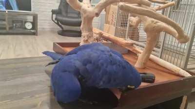 James doing some remote control repairs