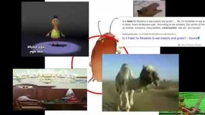 how 2 halal chek cockrochكيف تحرم الصرصورfree workingإنه مجان2016ي ويعملno virus installate nowلا تثبيت مجاني خالrick من الفيروسات😱😱😱😱🦟🦟🦟🦟