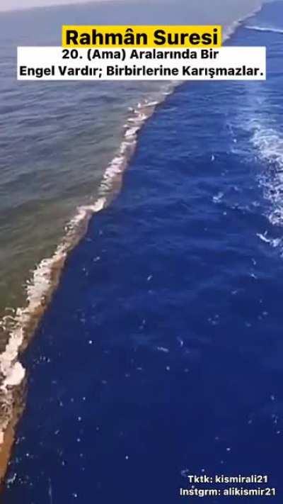 EVET DOSTUM BİLİM HAKKINDA EN UFAK BİLGİM YOK NERDEN ANLADIN 🤡🤡