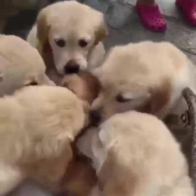 YoUth gAng AttaCk ReSting senior