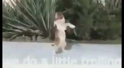 Doing your mom🤣🤣🤣(Shes bery obese)