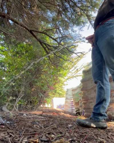 (28) Love sneaking back here for my morning piss