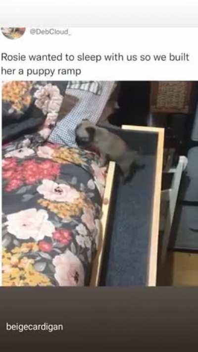 bruh dis made my day