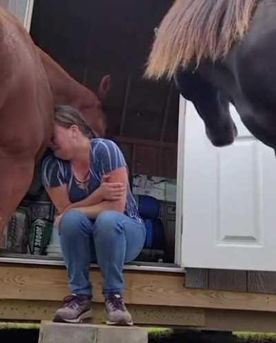 This 4yo horse understands her owner’s emotions and reassures her