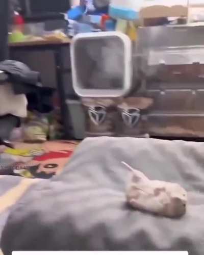 That’s one way to get sympathy.