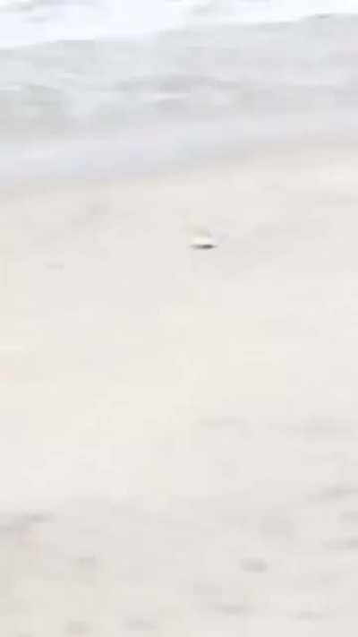 I cast lightnig strike