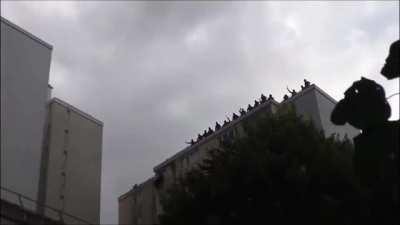 The insane choreography behind the long takes of Athena (2022)