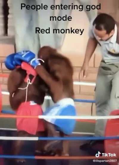 OOOOHHH AAAAAHHH RED MONKÈ