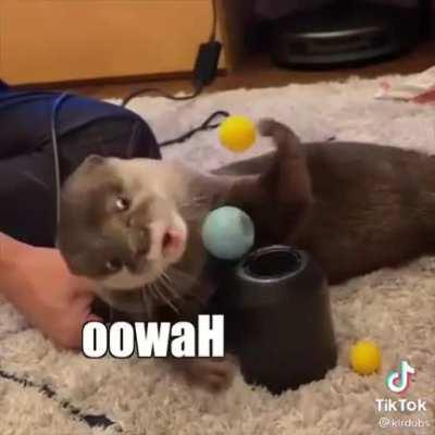 Jerry, I don't like that