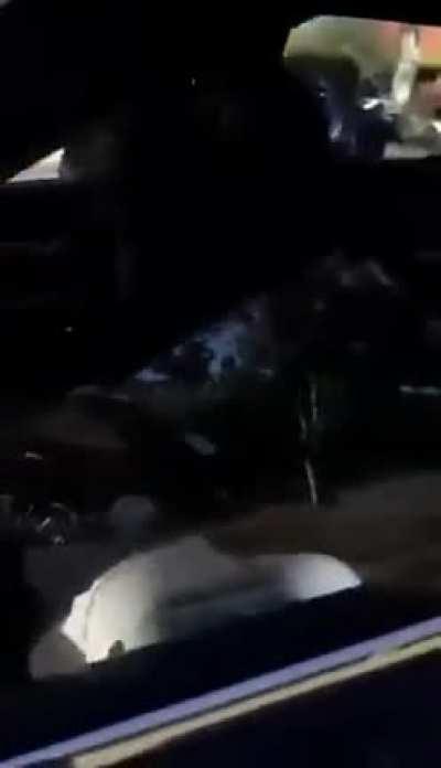 Just a normal day in Australia