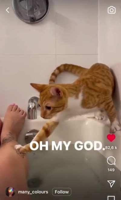 Looking for his last braincell