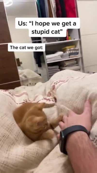 The legendary brain cell is in there