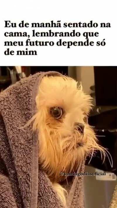 Toda essa pressão é de lascar.