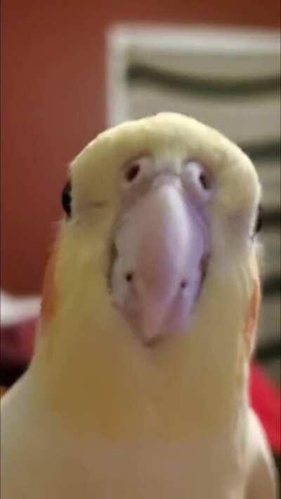 Sparx has a song for you.