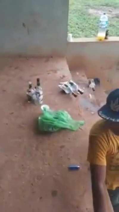 WCGW being too much jolly with friends.