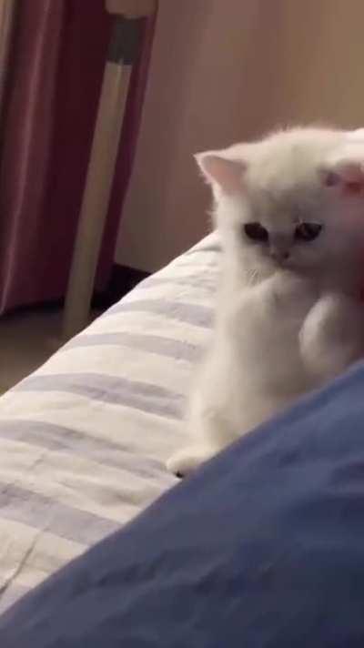 Preparing for battle.