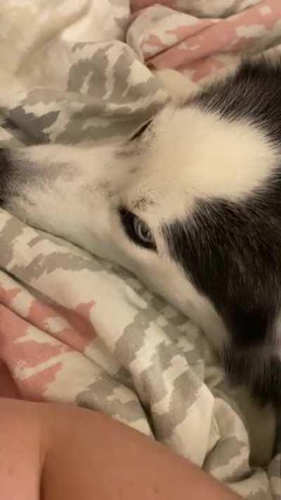 She’s clearly having a moment