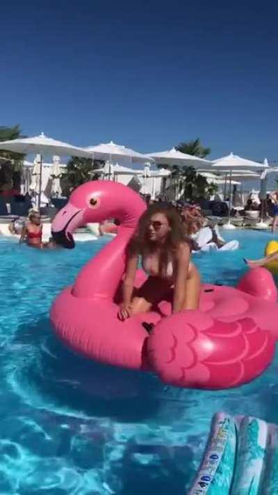 to ride the pink swan...