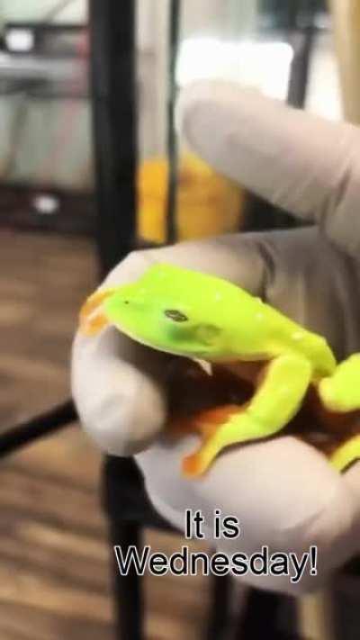 Guess what day is today...