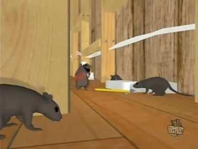 something you've seen on almost all shitpost subreddits