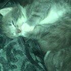 Criminal activity detected: Exposure of tiniest toe beans ever known