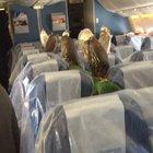 Rich chicks travelling in style!