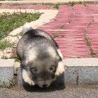 Oh.... I'm stuck.... Malfunction