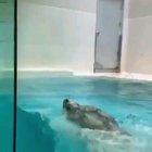 'All the way up there'... pffff no problem