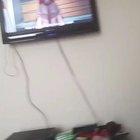 Please Watch Till The End....