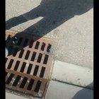 Grown man freaking out over some kids skateboarding