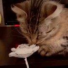 Niw this is what i call wholesome