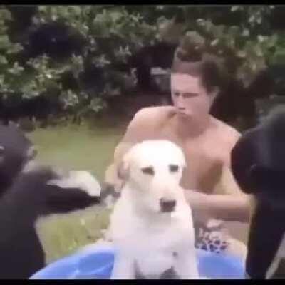 Have a noice day monke