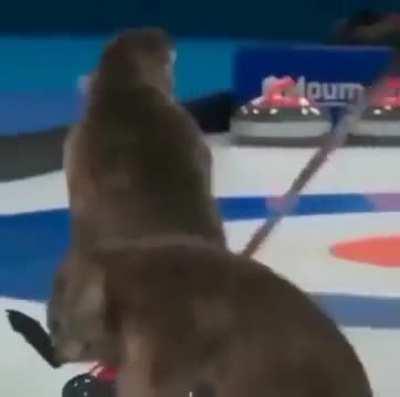 Curling.