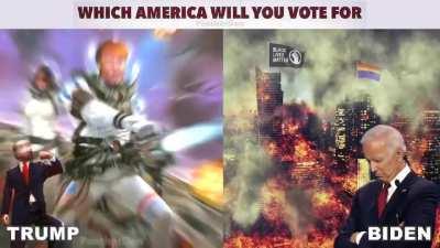Which America will you vote for?