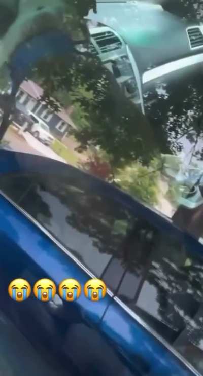 “Honkhia pork rail has turned Queensha into a car accessory!” Me asf: