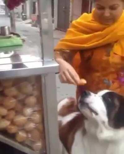 Video of a doggo eating pani puri to cheer everyone up in these difficult times