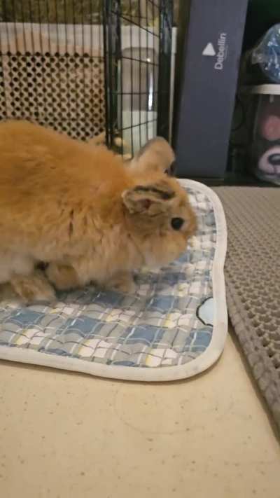 Insert title for Miso~