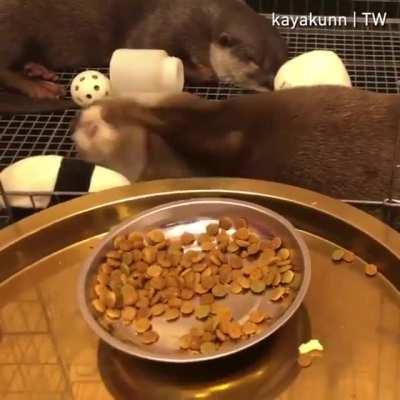 Time for a weekend feast !