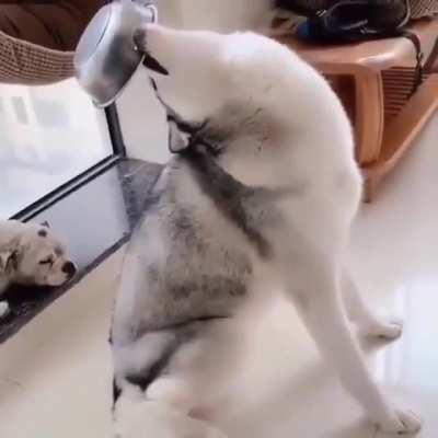 A little dramatic about dinner